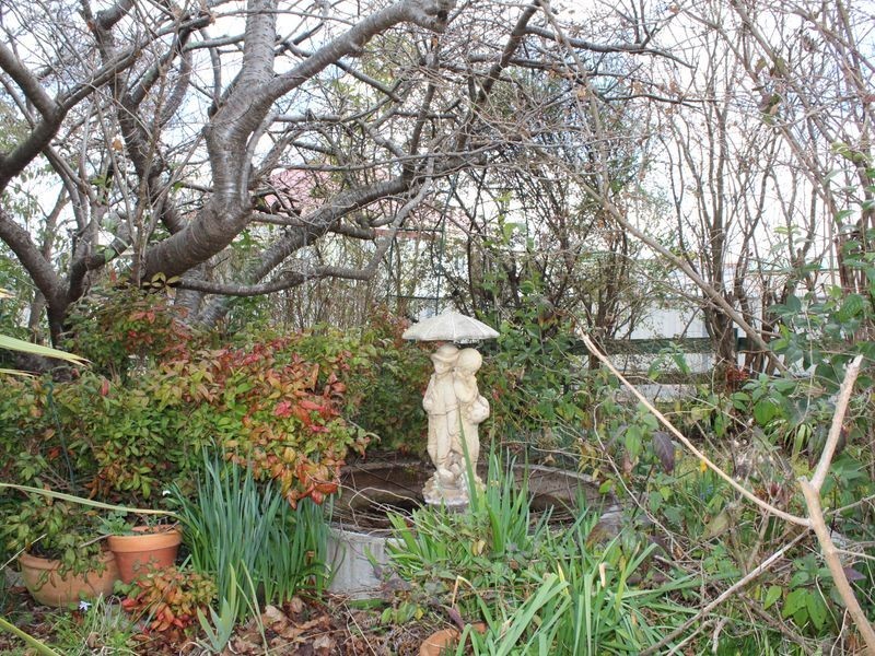 170 Herbert Street, Glen Innes NSW 2370