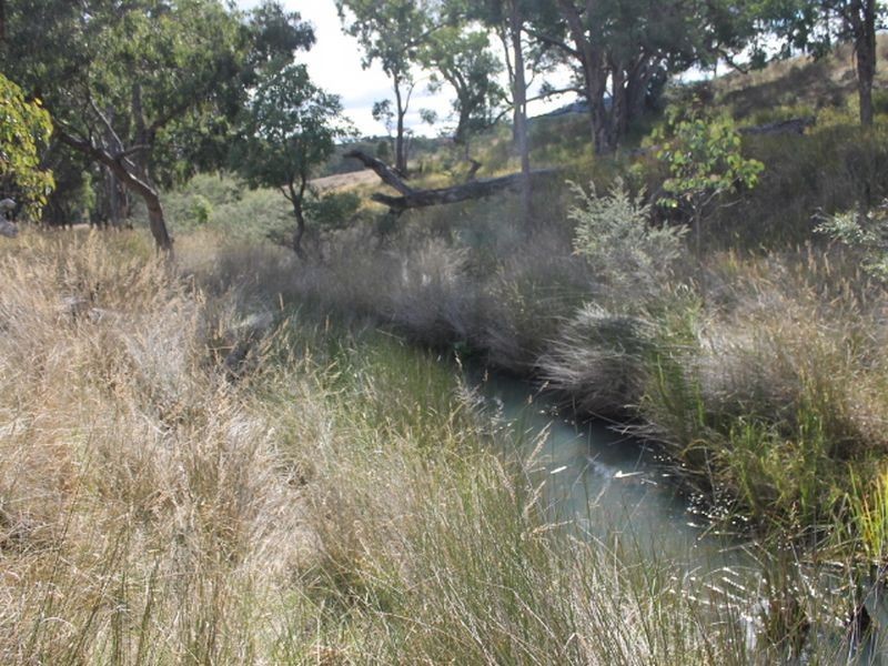Lot 4 Gulf RD, Emmaville NSW 2371