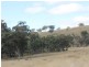 Lot 4 Gulf RD, Emmaville NSW 2371