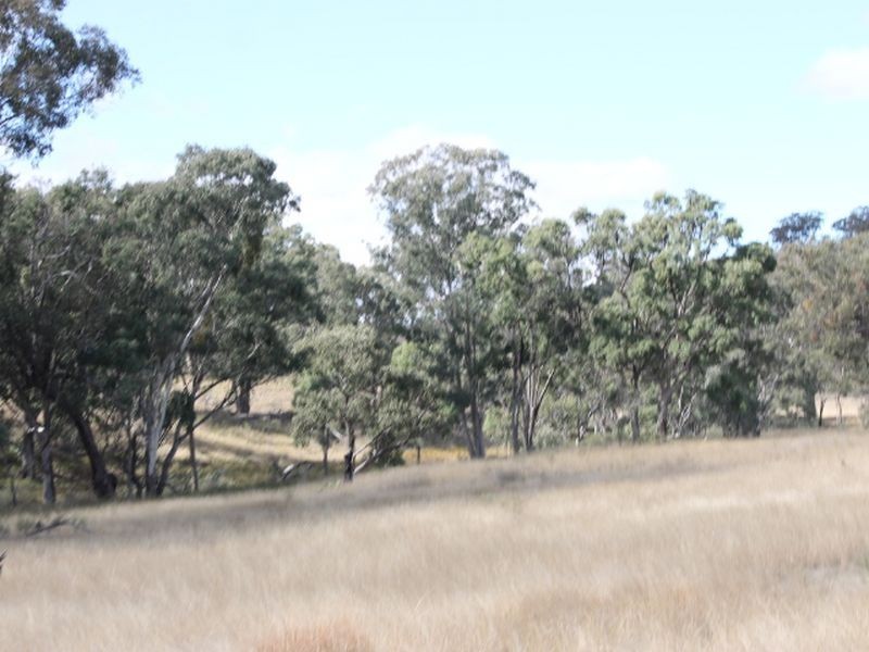 Lot 4 Gulf RD, Emmaville NSW 2371