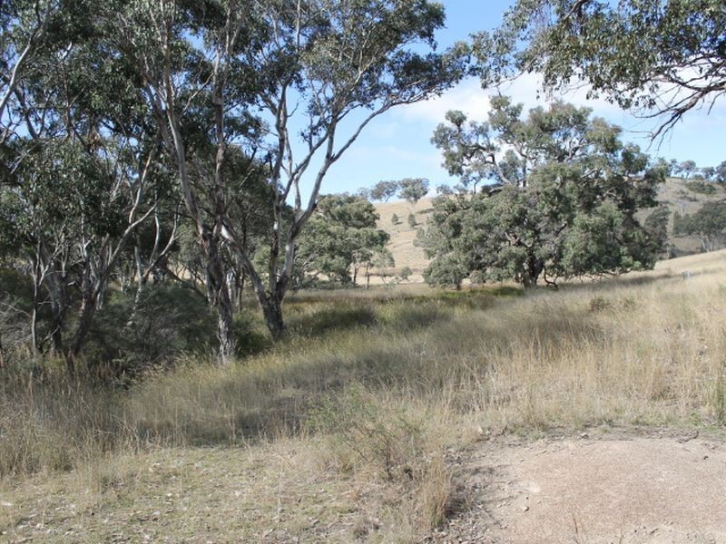 Lot 4 Gulf RD, Emmaville NSW 2371