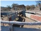 Lot 4 Gulf RD, Emmaville NSW 2371