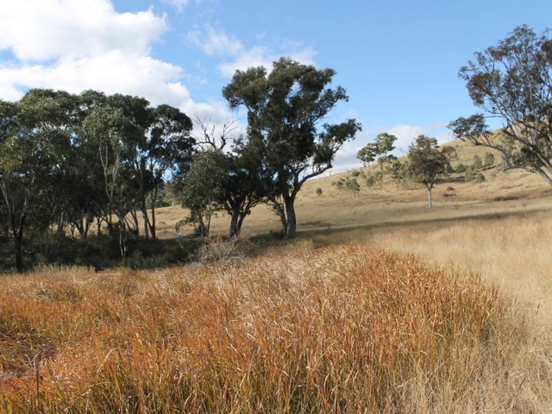 Lot 4 Gulf RD, Emmaville NSW 2371