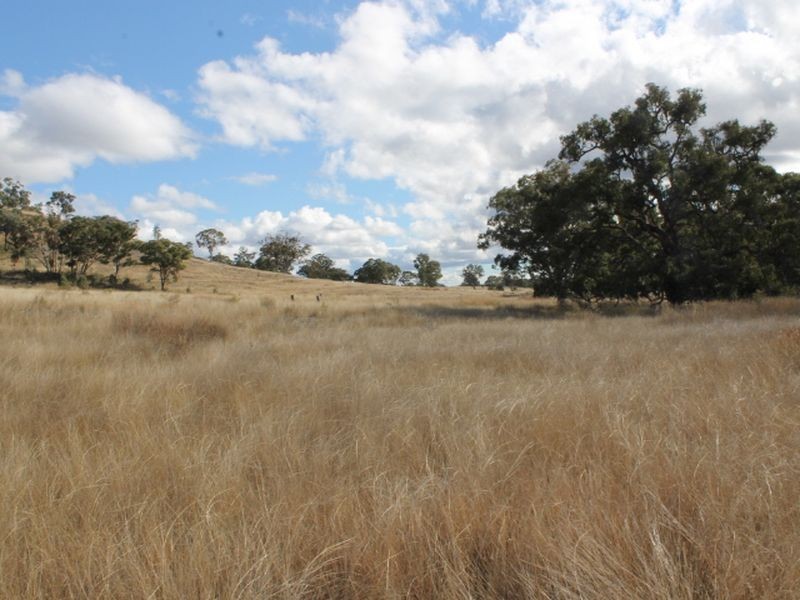 Lot 4 Gulf RD, Emmaville NSW 2371