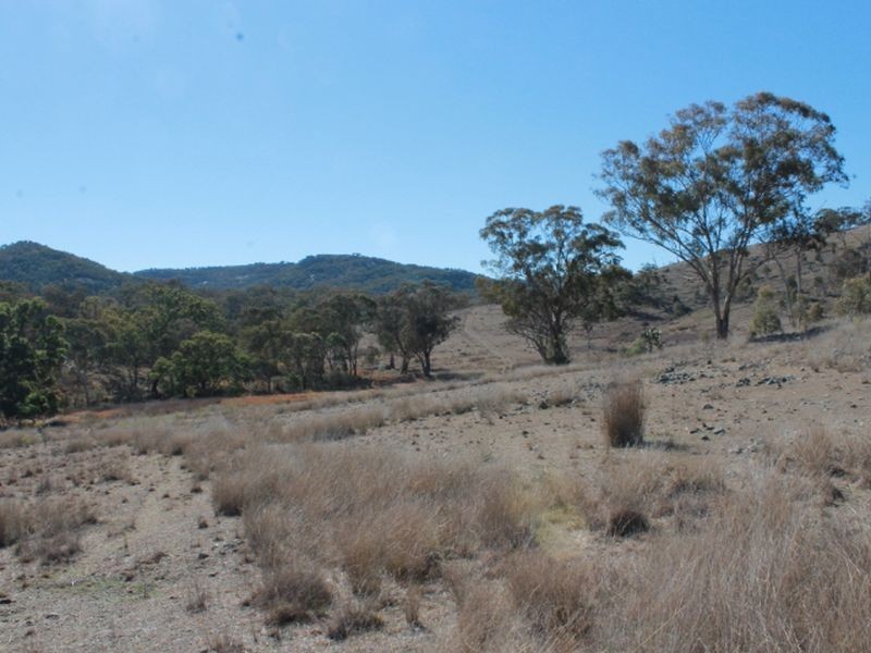 Lot 4 Gulf RD, Emmaville NSW 2371