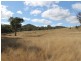 Lot 4 Gulf RD, Emmaville NSW 2371