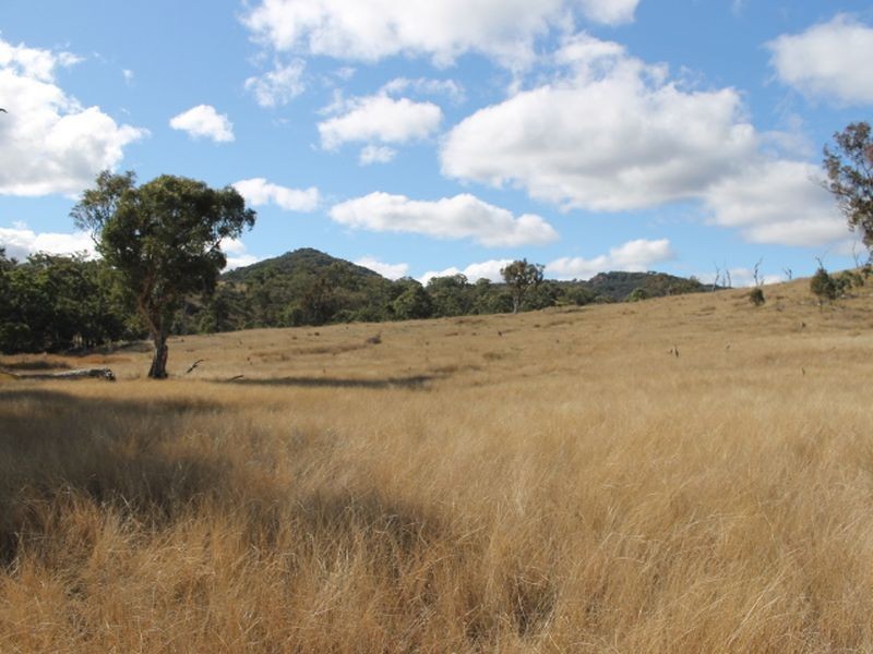 Lot 4 Gulf RD, Emmaville NSW 2371