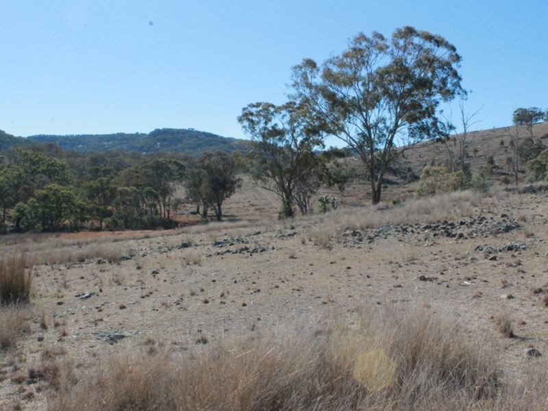 Lot 4 Gulf RD, Emmaville NSW 2371