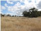 Lot 4 Gulf RD, Emmaville NSW 2371