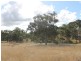 Lot 4 Gulf RD, Emmaville NSW 2371