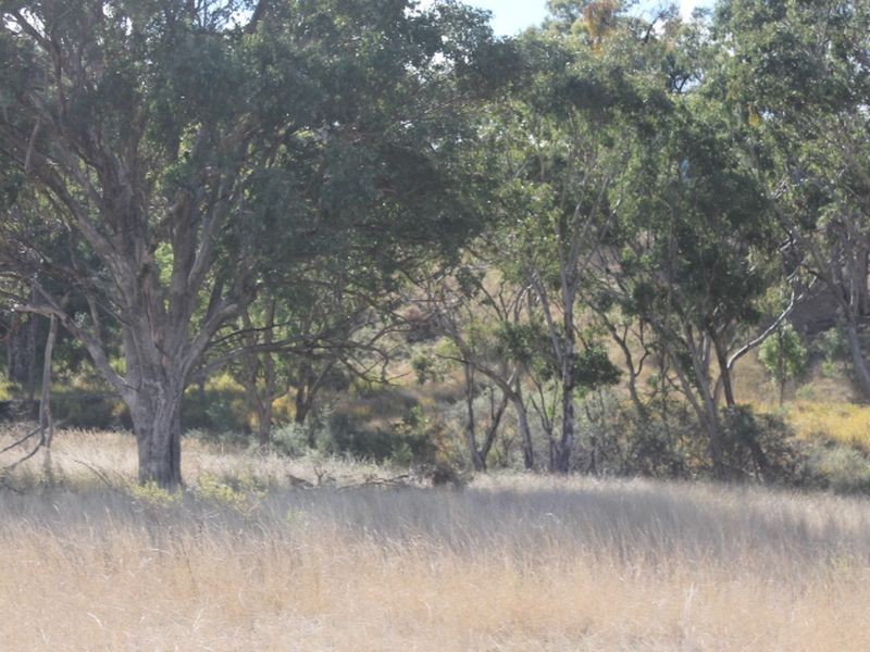 Lot 4 Gulf RD, Emmaville NSW 2371