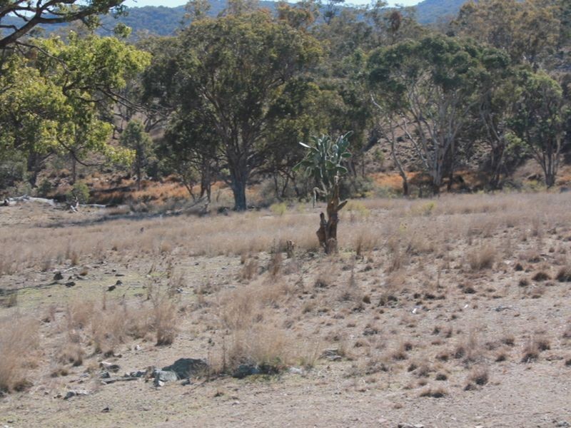 Lot 4 Gulf RD, Emmaville NSW 2371
