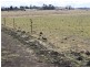 Lot 5 Red Range Rd, Glen Innes NSW 2370
