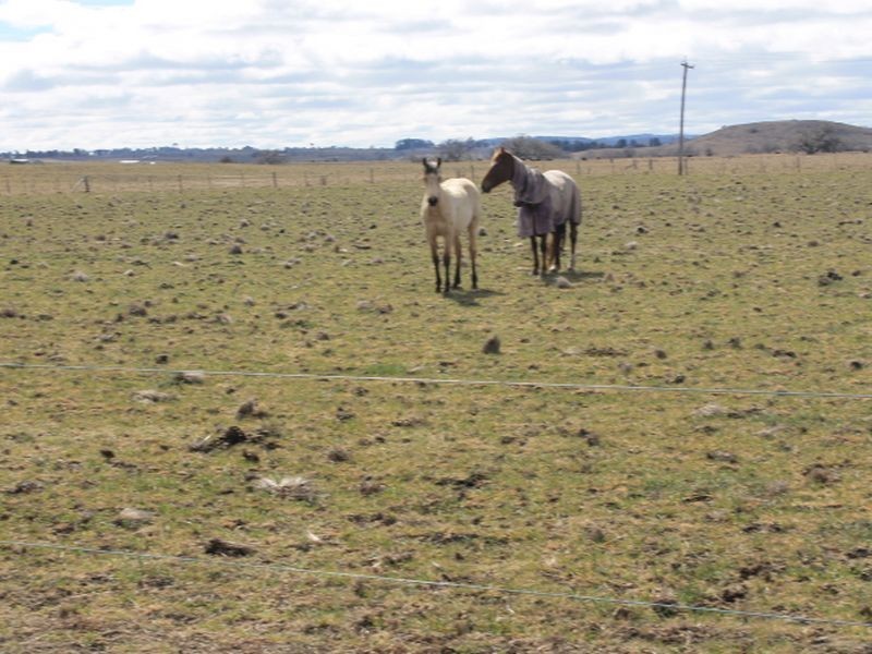 Lot 5 Red Range Rd, Glen Innes NSW 2370