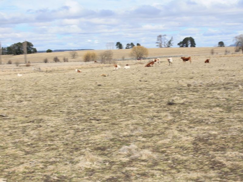 Lot 5 Red Range Rd, Glen Innes NSW 2370