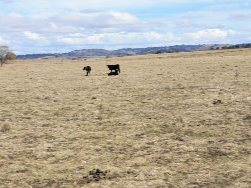 Lot 5 Red Range Rd, Glen Innes NSW 2370