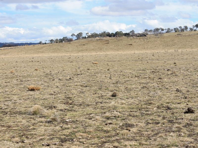 Lot 5 Red Range Rd, Glen Innes NSW 2370