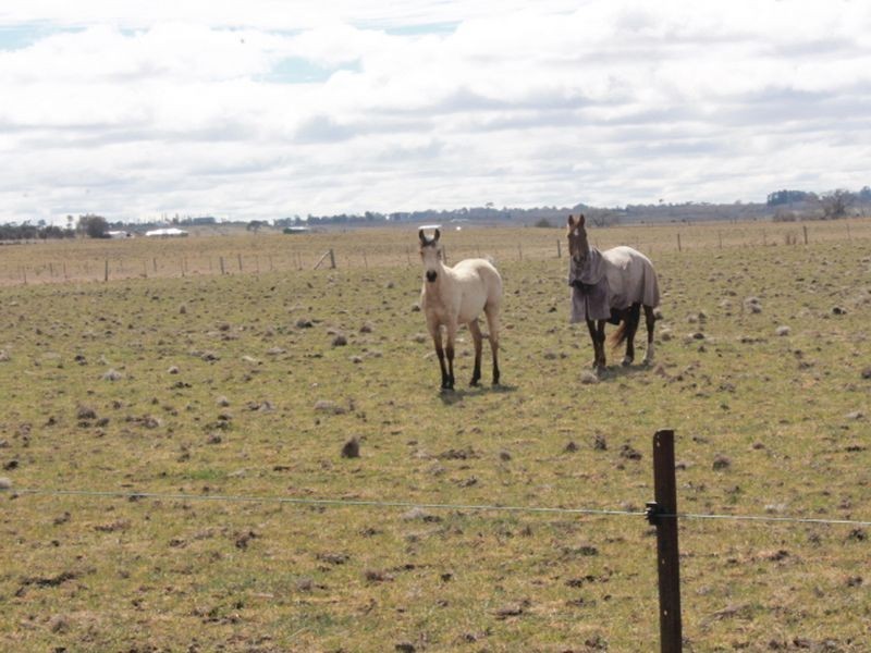 Lot 5 Red Range Rd, Glen Innes NSW 2370