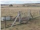 Lot 5 Red Range Rd, Glen Innes NSW 2370