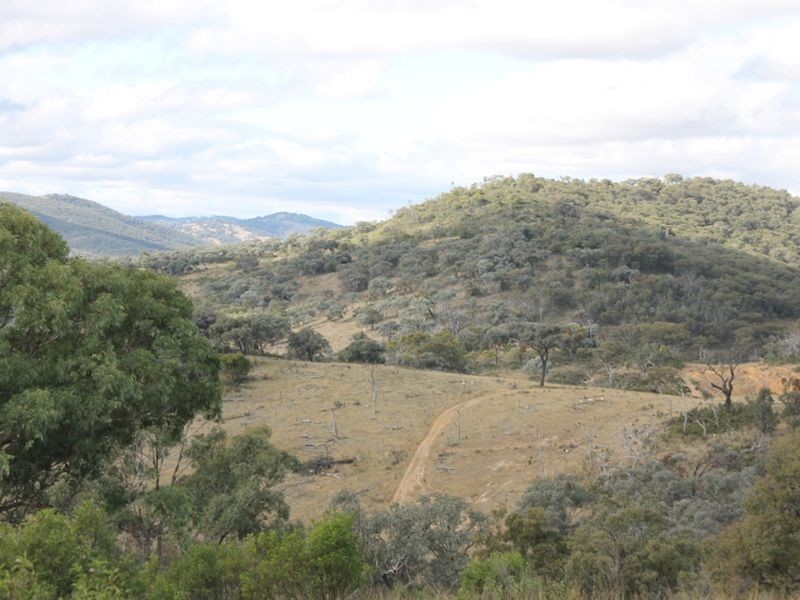 Lot 16 Gulf Rd, Emmaville NSW 2371