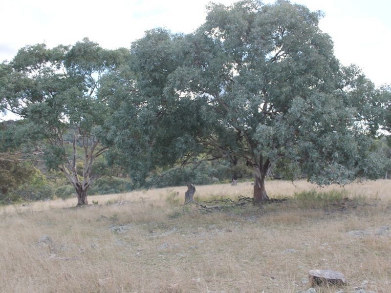 Lot 16 Gulf Rd, Emmaville NSW 2371