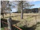 Lot 16 Gulf Rd, Emmaville NSW 2371