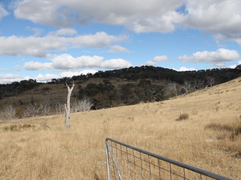 Lot 16 Gulf Rd, Emmaville NSW 2371
