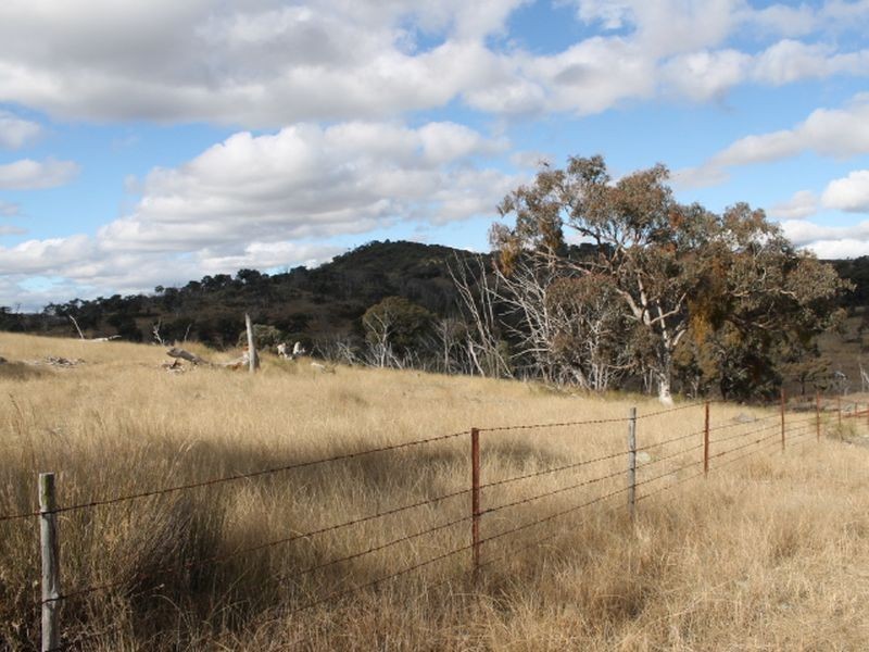 Lot 16 Gulf Rd, Emmaville NSW 2371