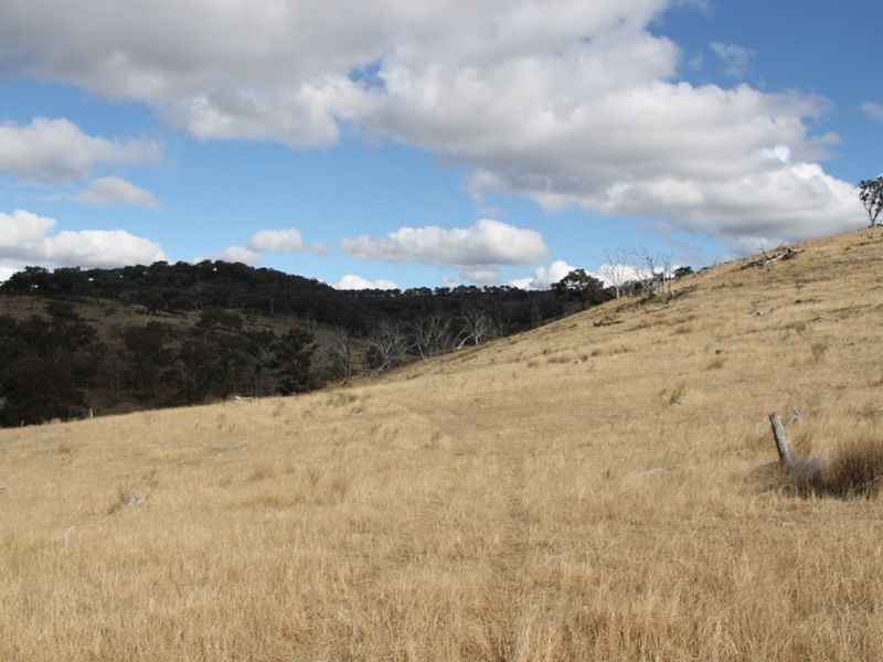 Lot 16 Gulf Rd, Emmaville NSW 2371