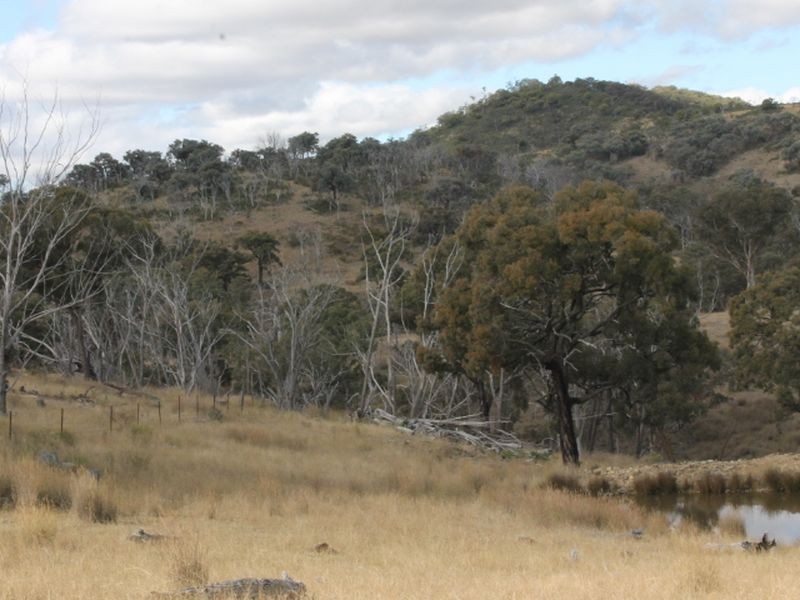 Lot 16 Gulf Rd, Emmaville NSW 2371