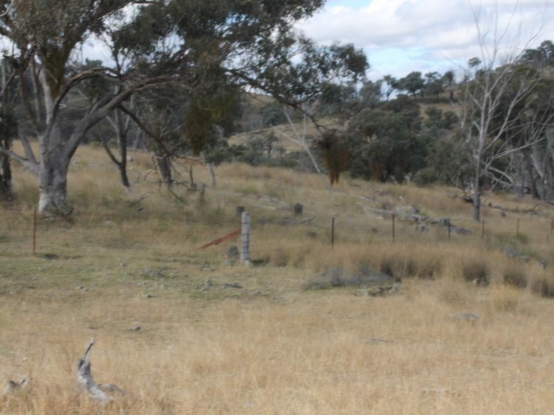 Lot 16 Gulf Rd, Emmaville NSW 2371