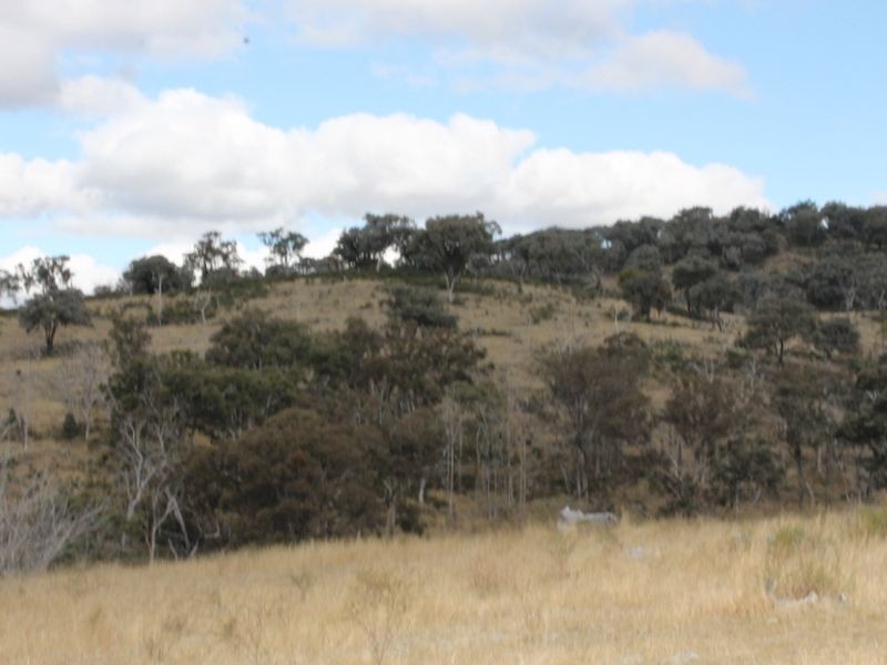 Lot 16 Gulf Rd, Emmaville NSW 2371