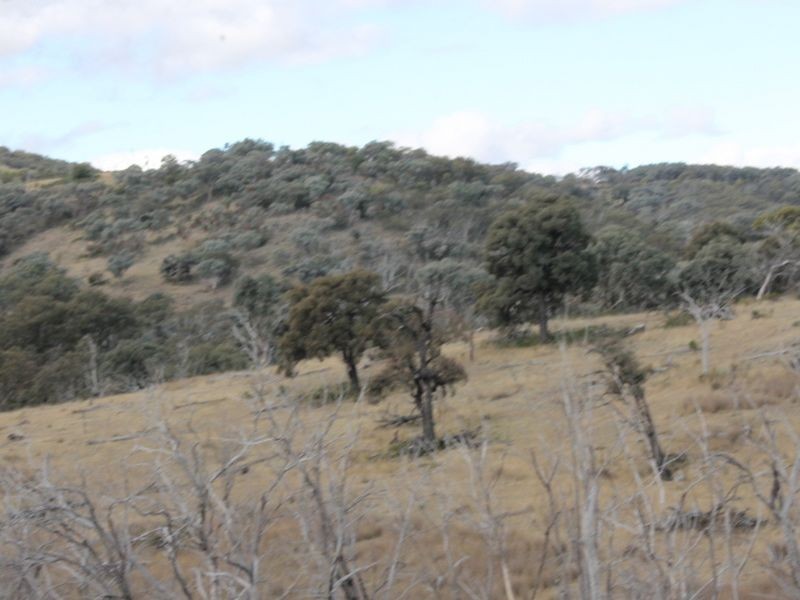 Lot 16 Gulf Rd, Emmaville NSW 2371