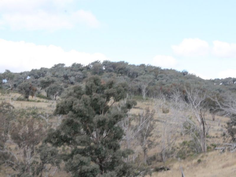 Lot 16 Gulf Rd, Emmaville NSW 2371