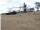 Lot 16 Gulf Rd, Emmaville NSW 2371
