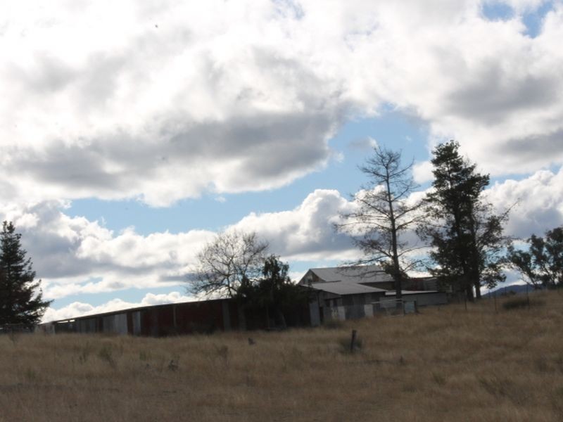 Lot 16 Gulf Rd, Emmaville NSW 2371