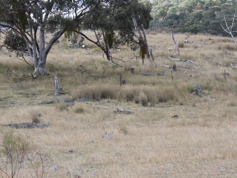 Lot 16 Gulf Rd, Emmaville NSW 2371