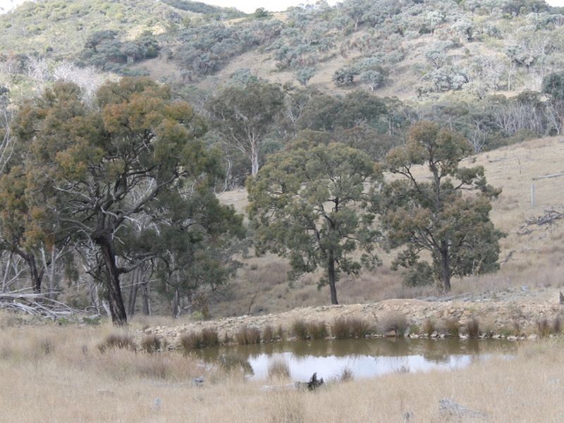 Lot 16 Gulf Rd, Emmaville NSW 2371