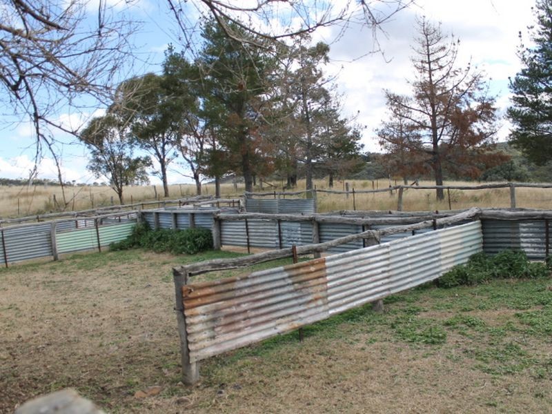 Lot 16 Gulf Rd, Emmaville NSW 2371