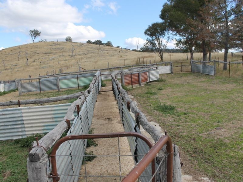 Lot 16 Gulf Rd, Emmaville NSW 2371