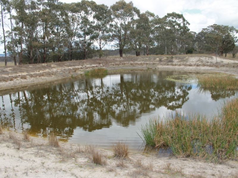 Lots 131 & Nine Mile Rd, Glen Innes NSW 2370