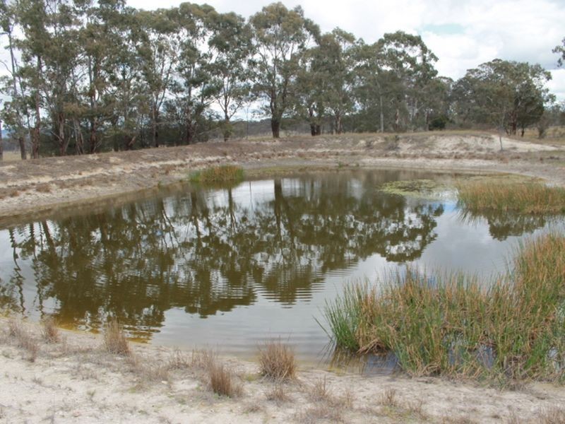 Lots 131 & Nine Mile Rd, Glen Innes NSW 2370