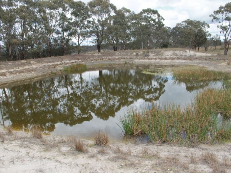 Lots 131 & Nine Mile Rd, Glen Innes NSW 2370