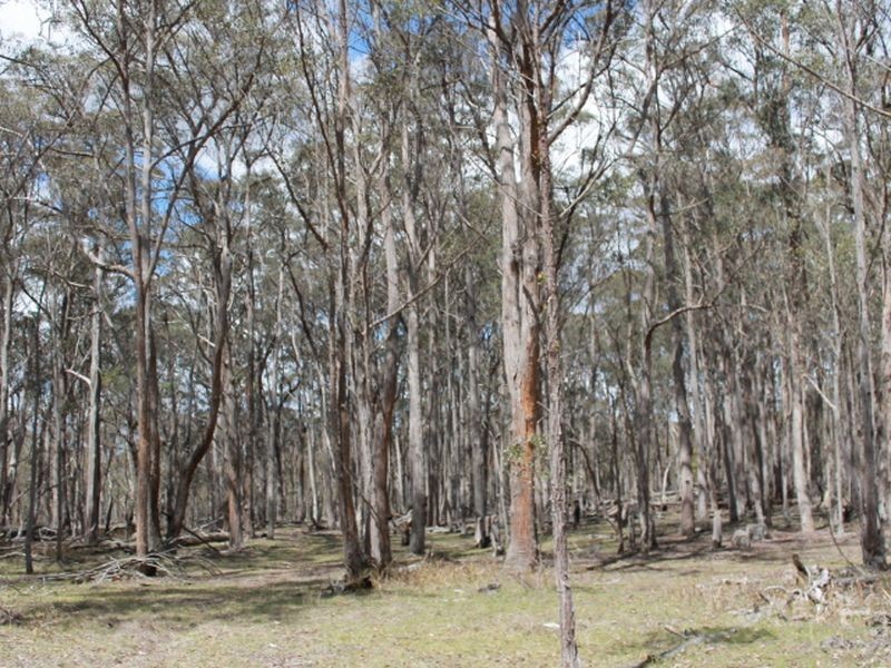 Lots 131 & Nine Mile Rd, Glen Innes NSW 2370