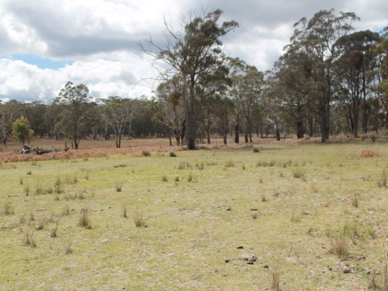 Lots 131 & Nine Mile Rd, Glen Innes NSW 2370