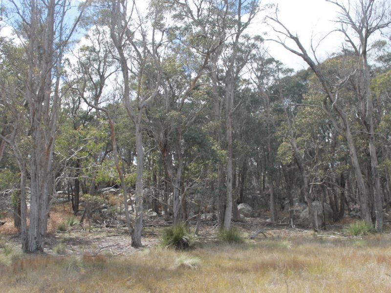 Lots 131 & Nine Mile Rd, Glen Innes NSW 2370