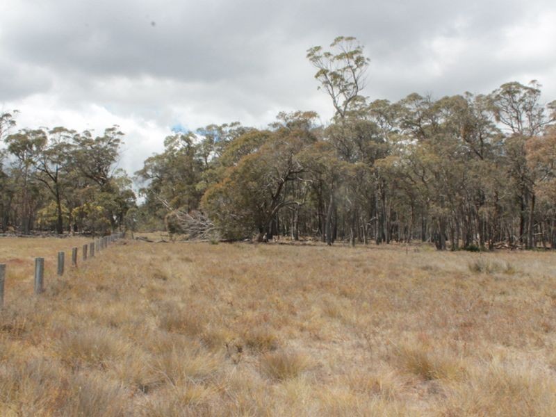 Lots 131 & Nine Mile Rd, Glen Innes NSW 2370