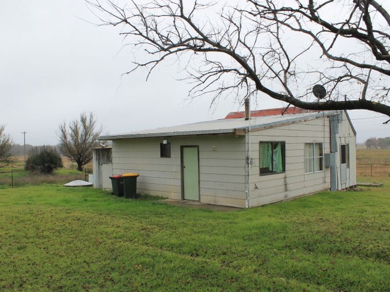 12 Potter Ave, Emmaville NSW 2371