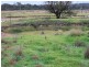 12 Potter Ave, Emmaville NSW 2371