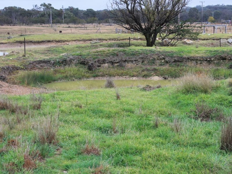 12 Potter Ave, Emmaville NSW 2371